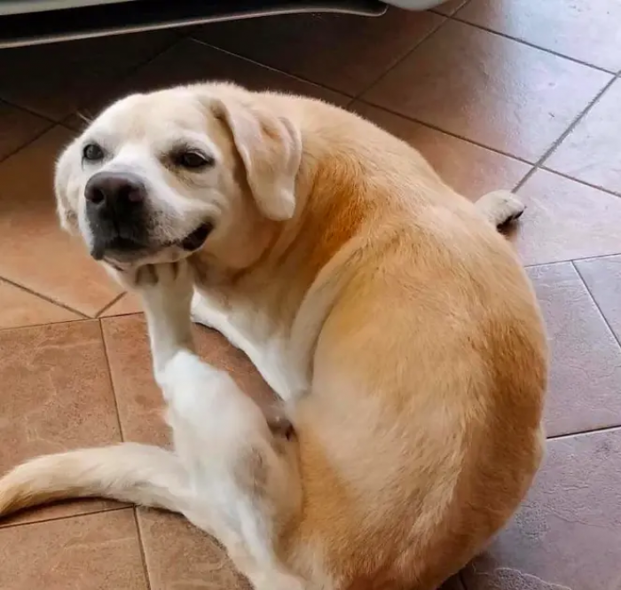 He's contemplating life.