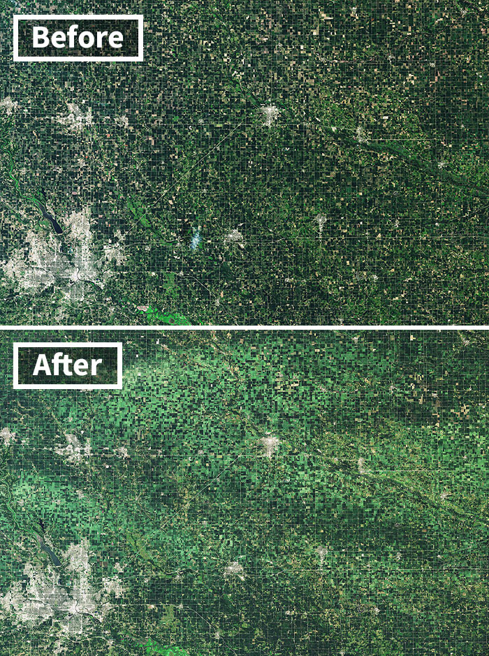 Derecho Flattens Iowa Crops