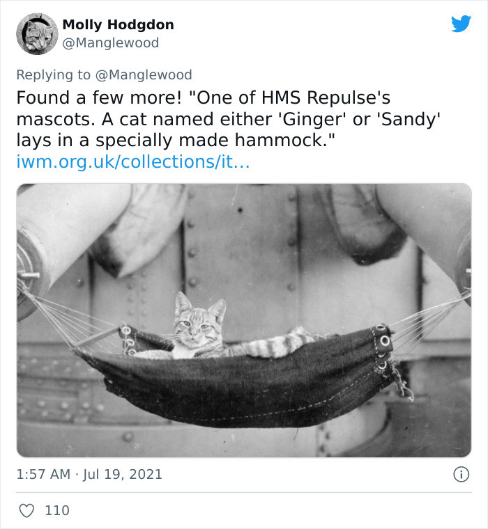 Ginger or Sandy...