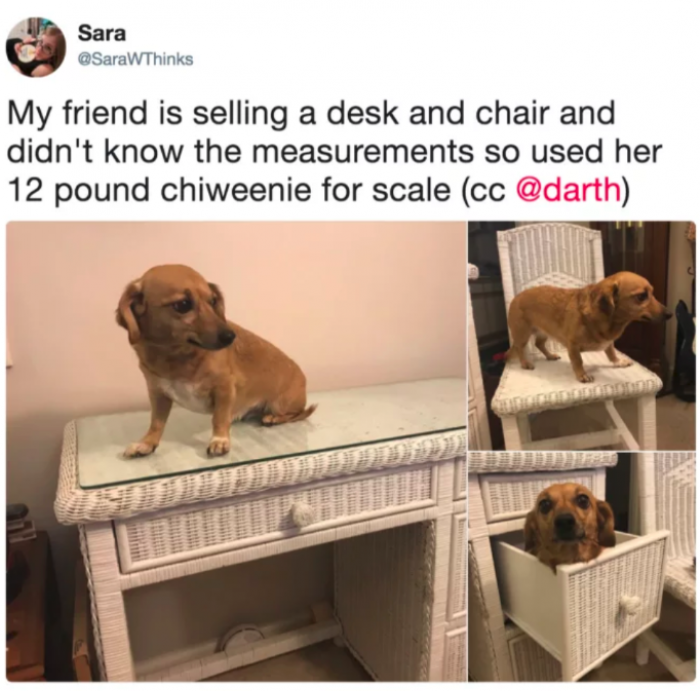 4. The Cutest Tape Measure Ever.