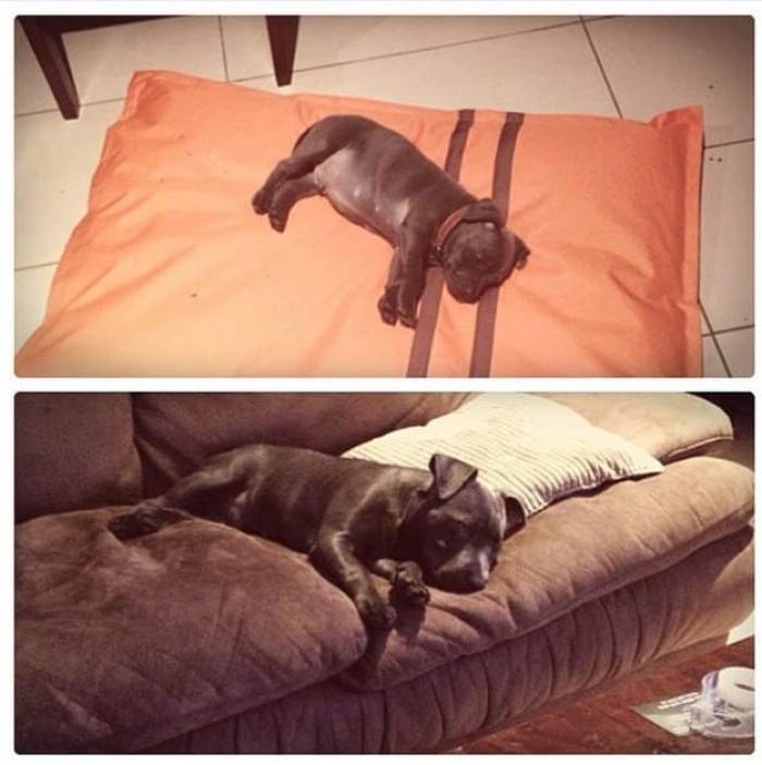 Quite the size difference :)