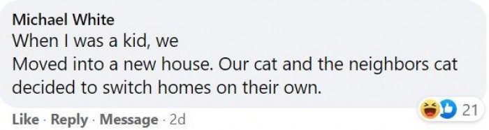 4. Ah yes, the old cat switcheroo. I guess you're just forced to go with the flow.