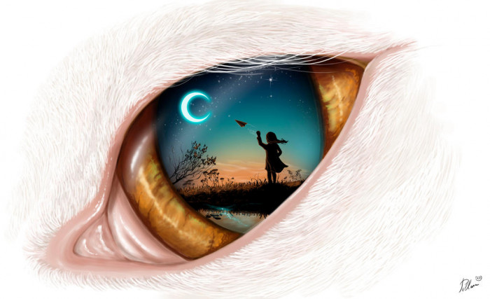 I'm Waiting for You, Cat.