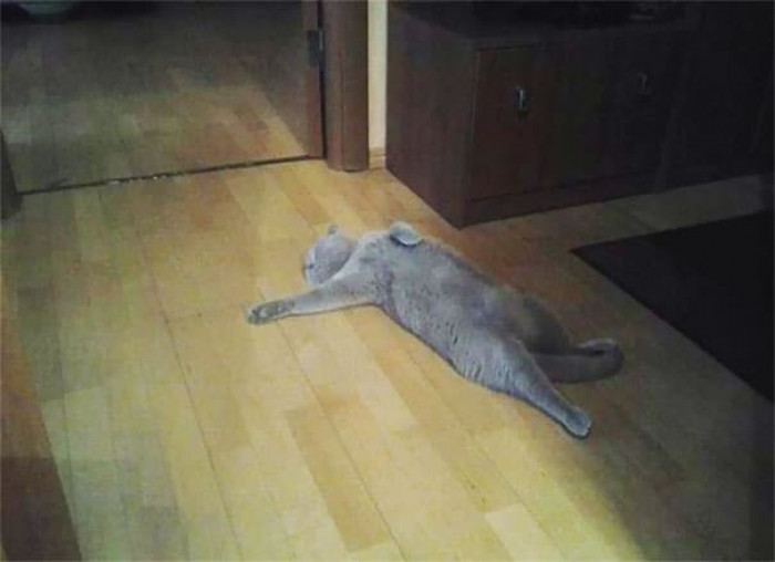 32. "Dead, totally dead. I cannot go on!"