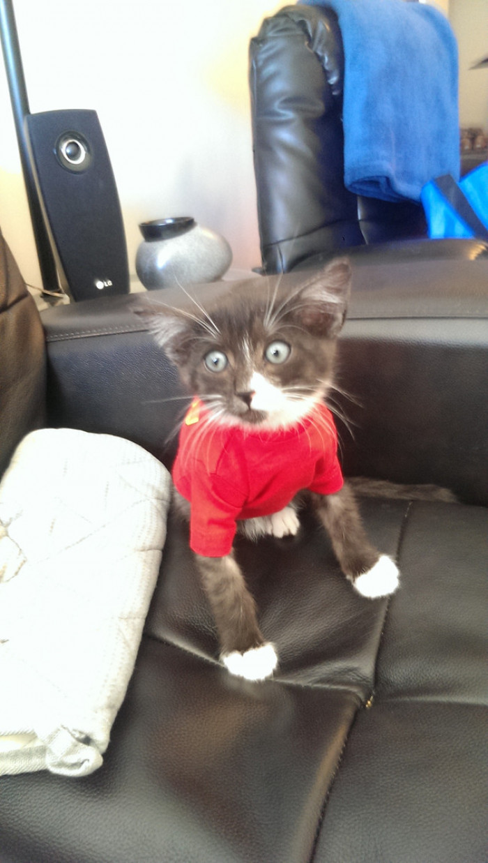 17. No, I am really glad you bought me this T-shirt! I'm delighted!