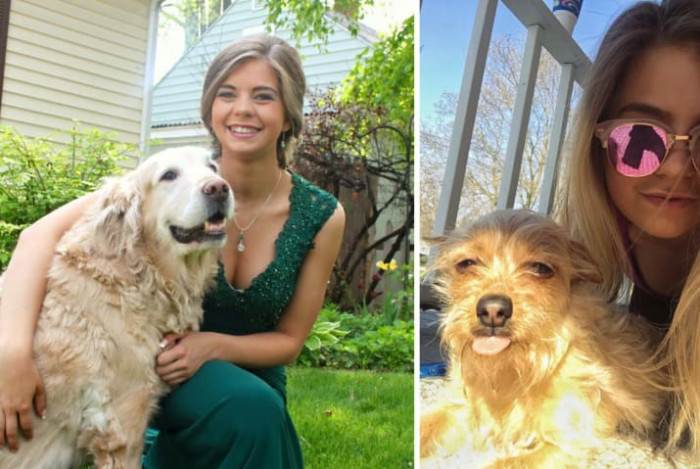 Small dog performing an impressive trick, wide-eyed expression, bright indoor lighting