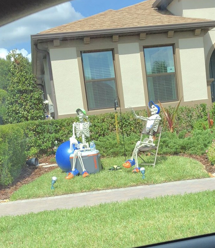 They're just normal skeletons, living their best life.