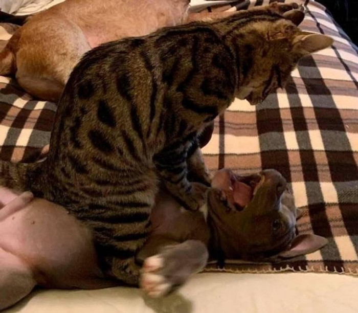 9. She was caught in the act.