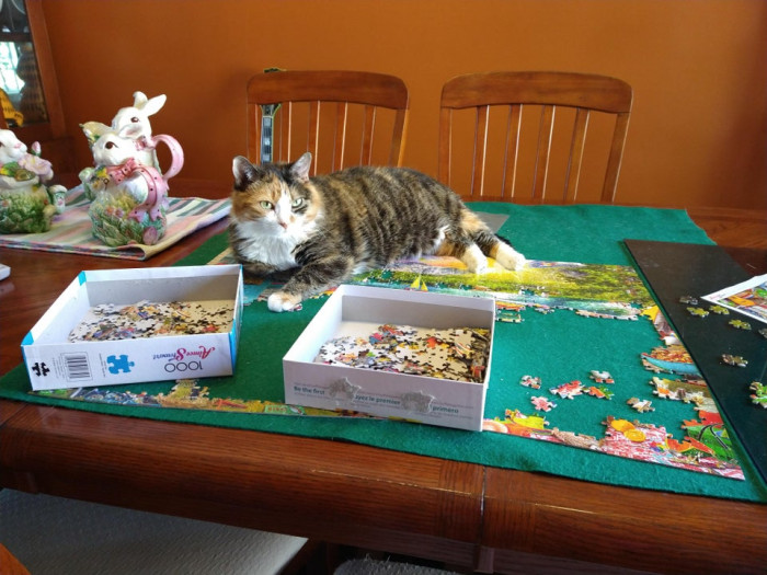 3. "Another puzzle, same helper."