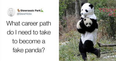There’s A Job That Involves Putting On A Panda Costume And Playing With Panda Cubs