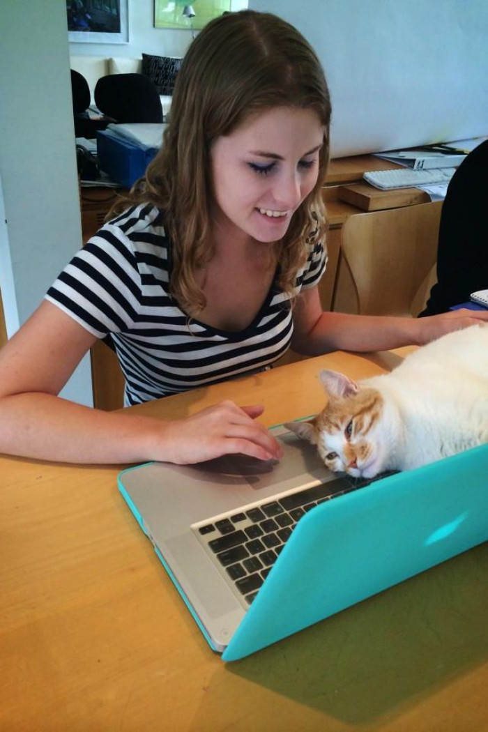 Wow, human, this is, like, the purr-fect place to sit!
