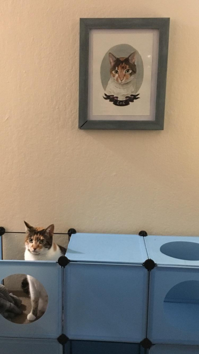 "Life Imitates Art... Meow."