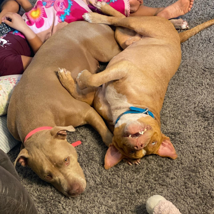 Speaking of Rufus, Peters said, 