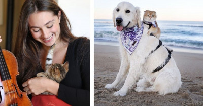 Purrfect Cat Stories That Will Make Your Heart Melt