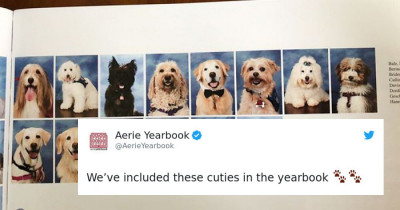 Parkland High School Made A Yearbook Of All The Therapy Dogs Used By Kids Involved In The School Tragedy