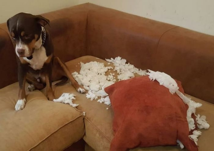 "It went poof on its own."