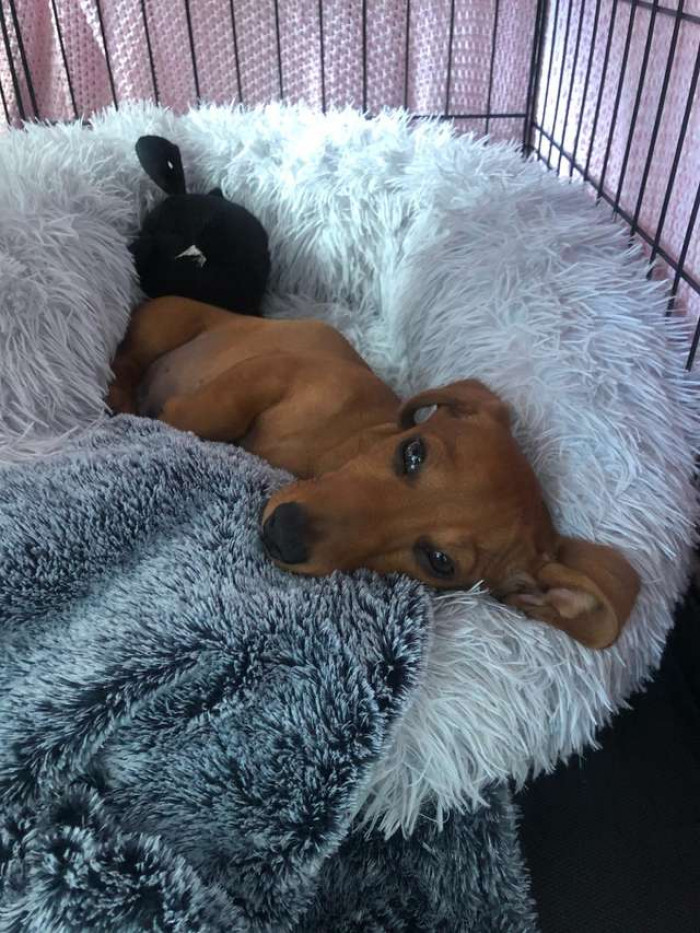 I can see why he has such a love for his bed!