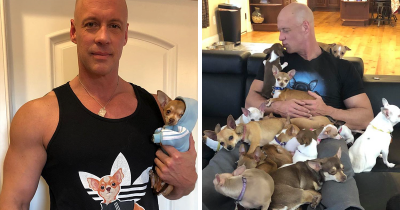 Big Man Who Makes Fun Of Small Dogs Is Saved By A Chihuahua & Devotes His Life To Rescuing Them