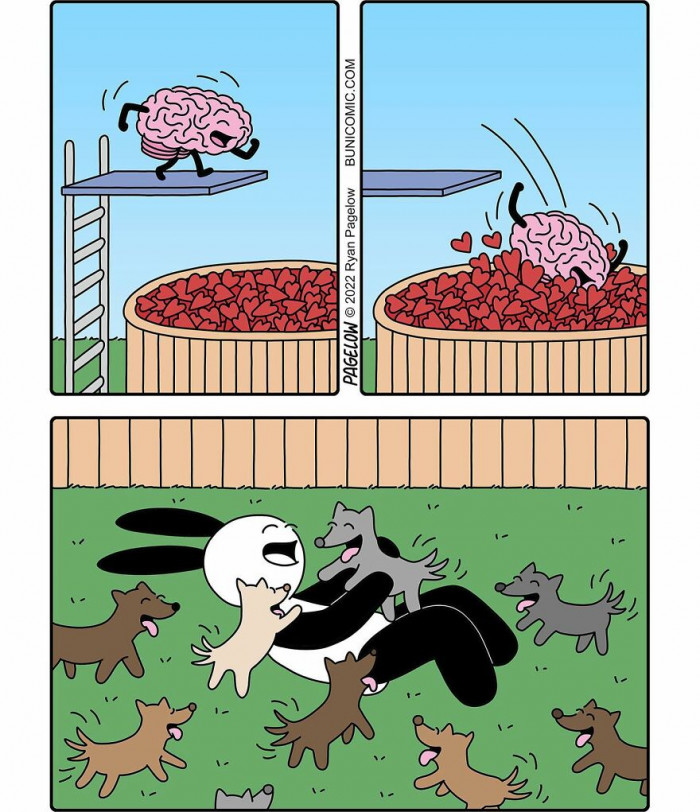 3. This is exactly what it's like to be cuddled by dogs. It's just all love.