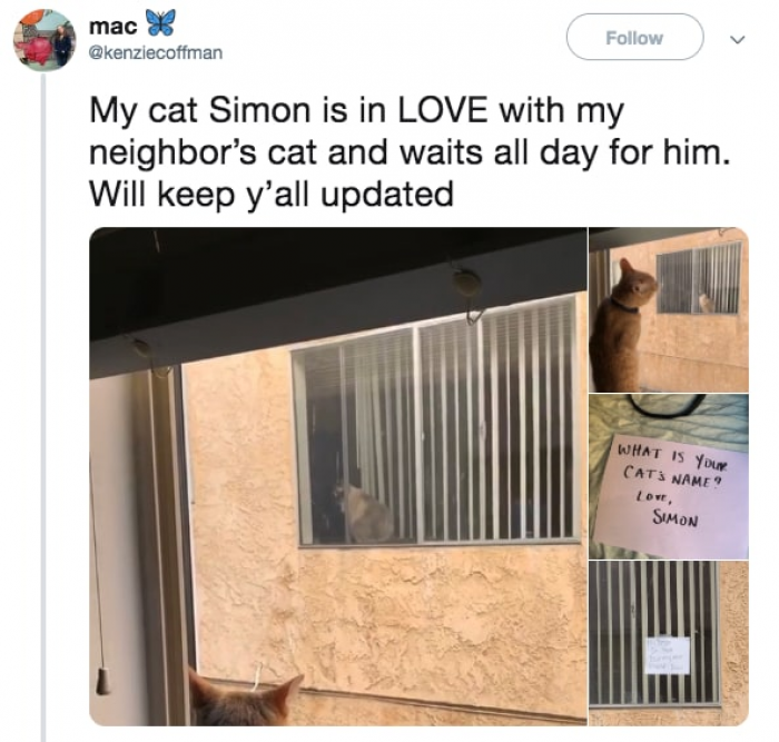 Neighborly Love