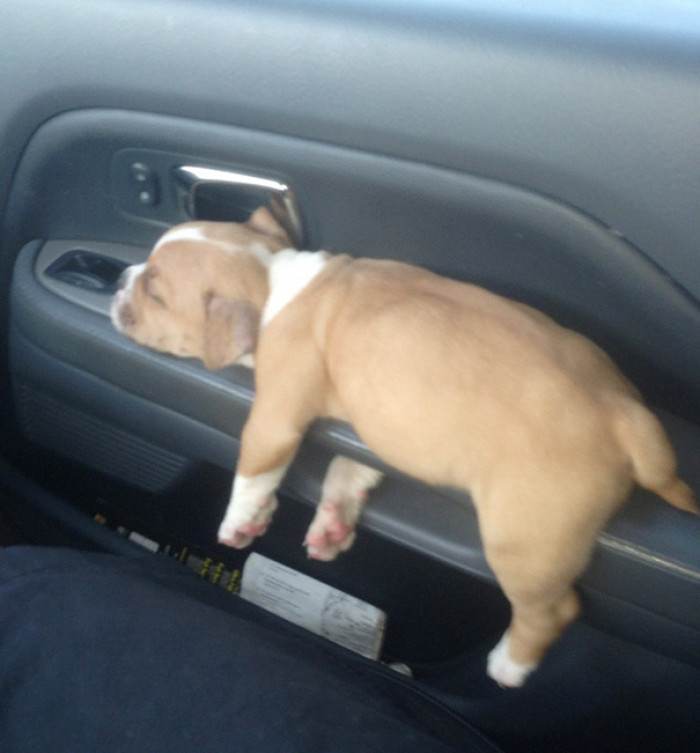 #28 Awwwwe! They named her peaches even!