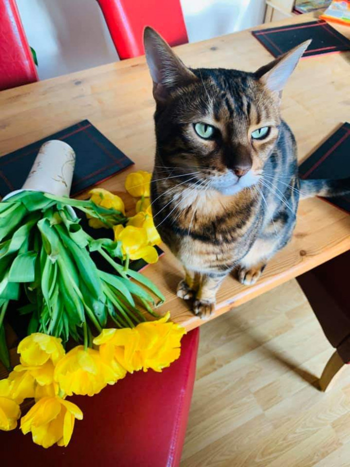 12. "Nice flowers you had there."