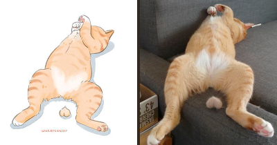 30 "Watercolorized" Versions Of The Internet's Funniest & Most Famous Cats