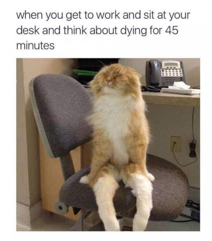 11. I need to quit this job