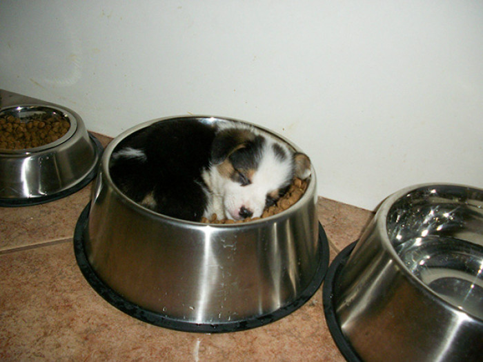 #9 I mean, I'd sleep with my food too if I could.