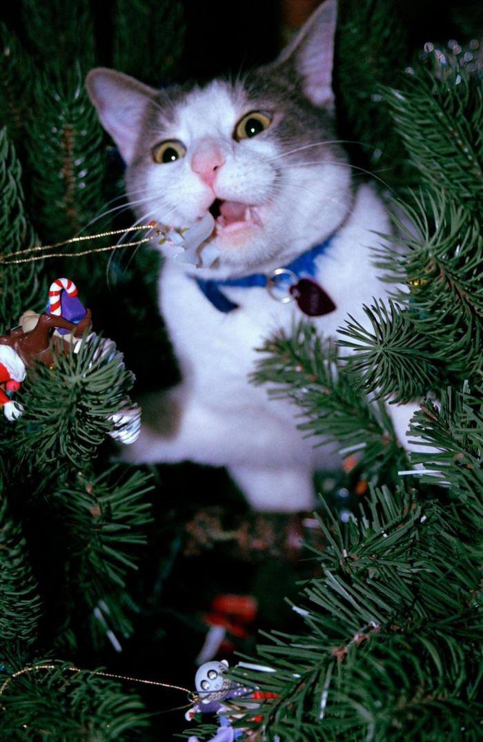 10. "Caught in the act!"