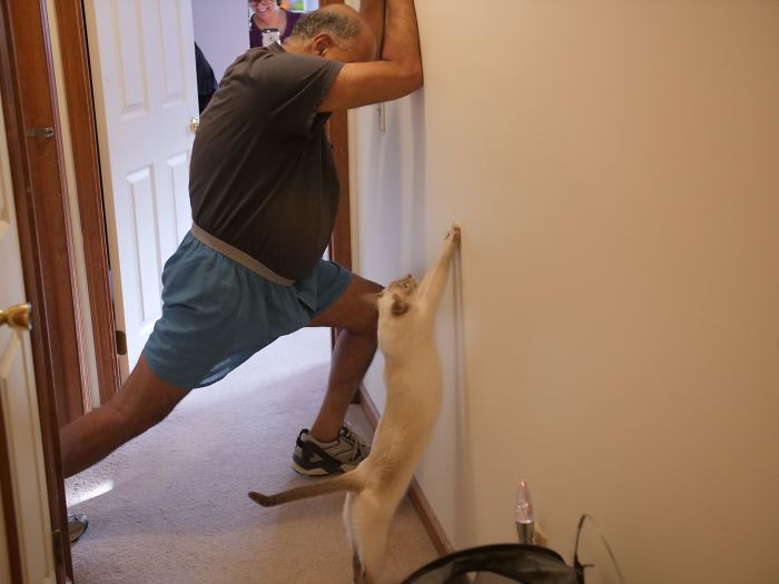 9. "Every Time My Dad Stretches, Our Cat Likes To Join"