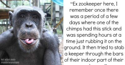 Zookeepers Reveal The Absolute Weirdest Things They Have Seen Animals Do