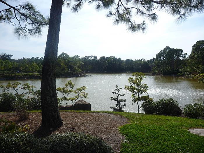 29. Is this still an outing?