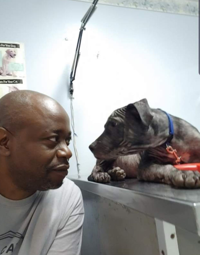 33. "Rescued Him From The Streets. Vet Visit Was Great Despite Skin Issues"