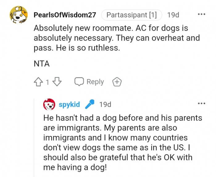 7. Putting on the AC for dogs is absolutely necessary