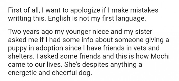 I asked some friends, and this is how Mochi came into our lives