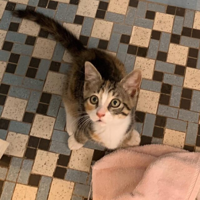 She Now Runs the Place