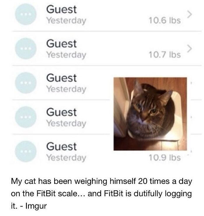 11. Accountability is key to maintaining that perfect loaf shape.