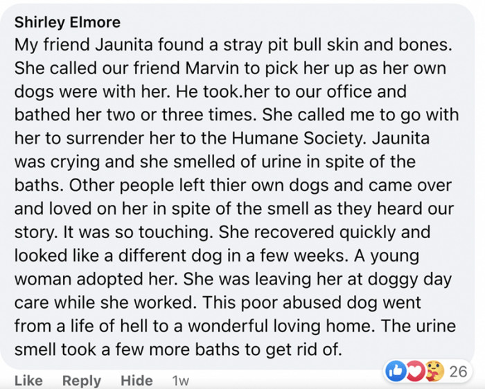 16. The most wholesome transformation story ever