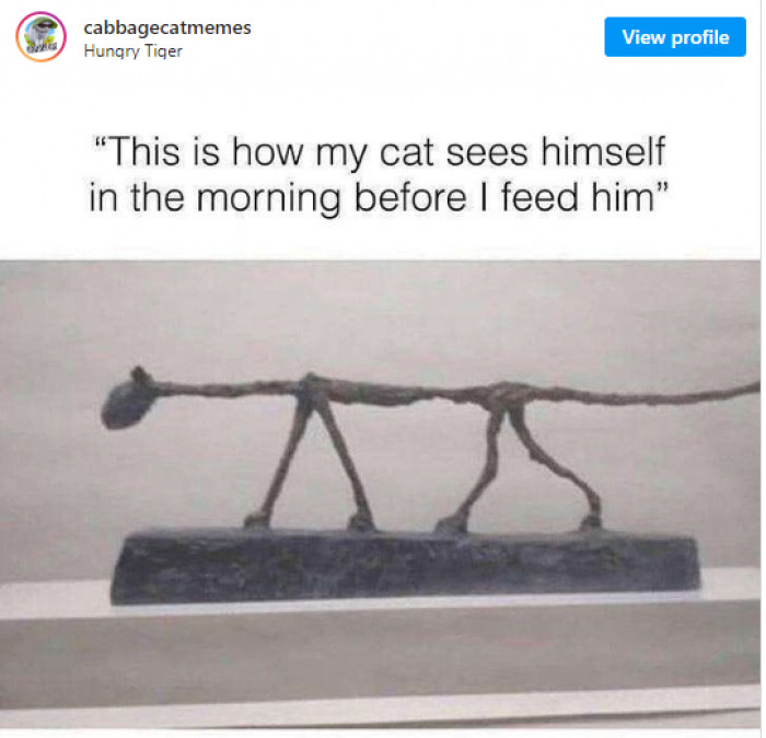 19. However, despite all of our flaws, cats still like us!