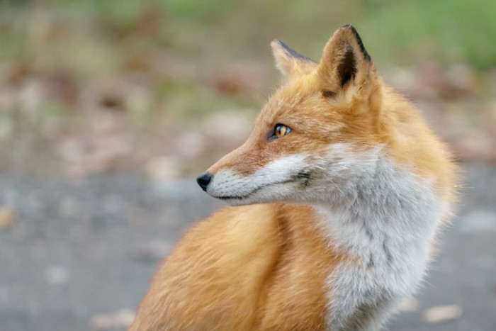 Take a quick side picture