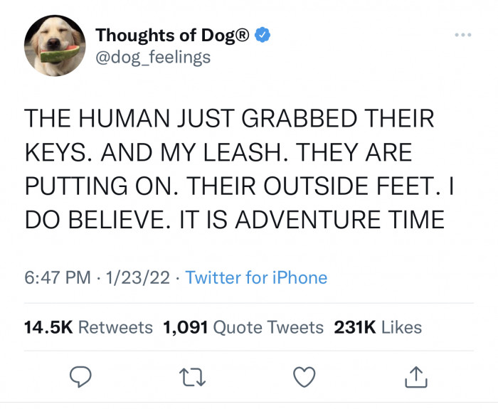 3. The outside feet are a clear sign.