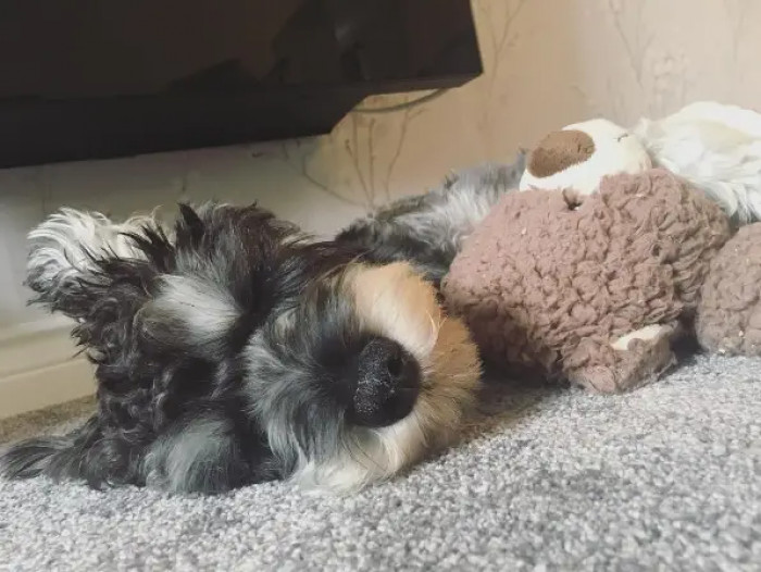 7. Nap time is non-negotiable