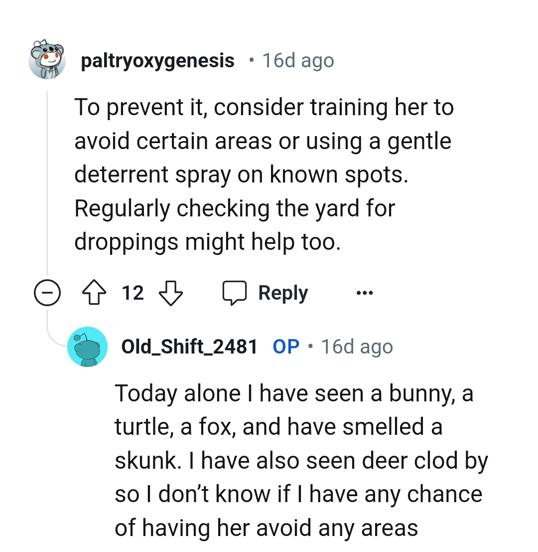 Regularly Checking the Yard for Droppings