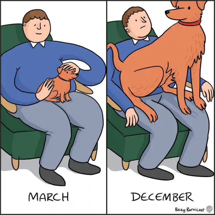 4. They were so small, but they quickly grew to their size—good thing they are still up for some lap cuddles even after they have grown!