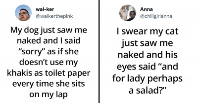 19 Times Pets Caught Their Owners Naked And Couldn't Stop Judging