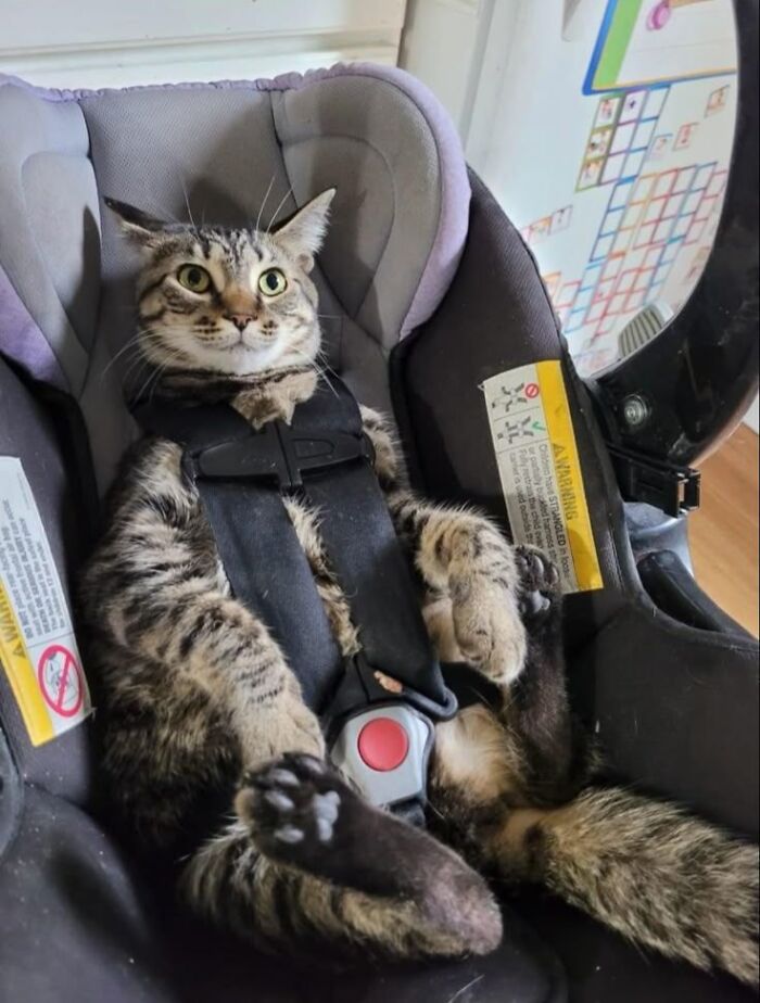 19. Ready for Takeoff! Destination: Snack Aisle