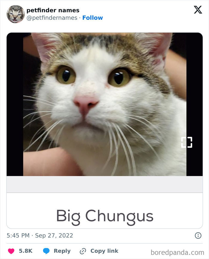 Big Chungus