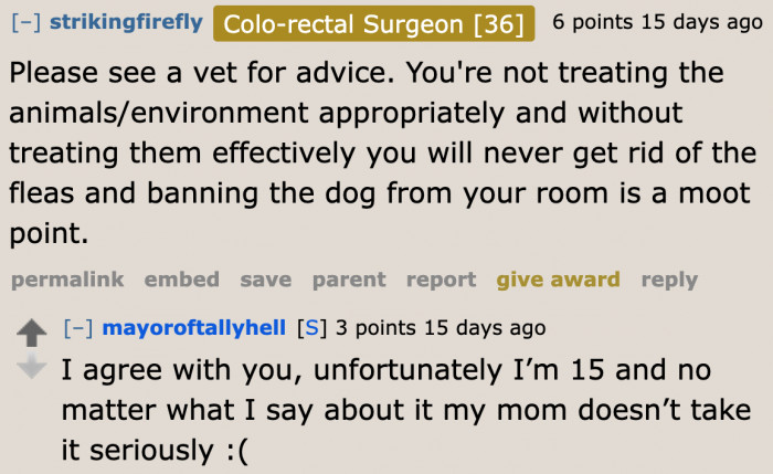 The mom is a poor pet owner.