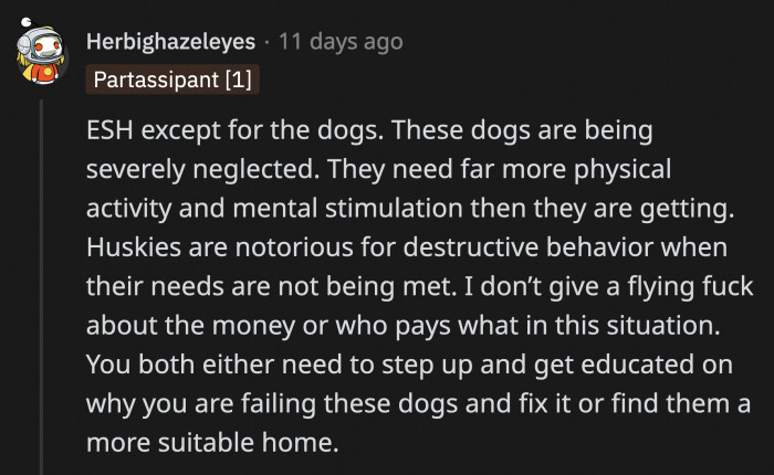 A commenter said that OP and her boyfriend need to settle their issues so they can actually give their dogs what they need.